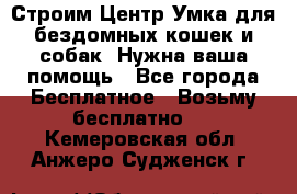 Строим Центр Умка для бездомных кошек и собак! Нужна ваша помощь - Все города Бесплатное » Возьму бесплатно   . Кемеровская обл.,Анжеро-Судженск г.